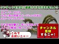 【mh】クンチュウを完全に絶滅させる方法を考えよう【モンハン】 monster hunter tv