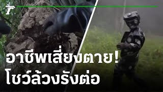 โชว์ล้วงรังต่อหัวเสือ อาชีพเสี่ยงตาย | 12-09-65 | ข่าวเช้าหัวเขียว