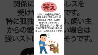 面白い雑学クイズ【動物（ストレス）編】誰かに話したくなる雑学 #shorts #雑学 #豆知識