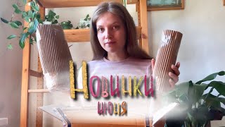 Новинки моей 🌱 коллекции | Распаковка посылки | Июнь 2023 | Комнатные растения 🪴