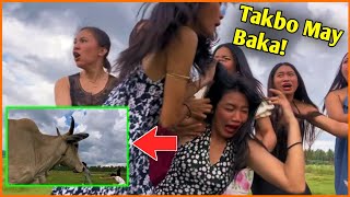 MINSAN NA NGA LANG UMAWRA HINABOL PA NG BAKA!🤣EPIC FAIL MOMENTS•PINOY FUNNY VIDEOS•PINOY MEMES 2025