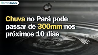 Chuva no Pará pode passar de 300mm nos próximos 10 dias | Previsão do tempo | 24h