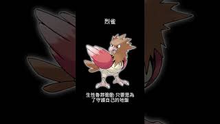 寶可夢圖鑑 #pokemon No.0021 烈雀オニスズメ Spearow #0021 #pokemongo  #寶可夢朱紫 #寶可夢 #shorts #第一世代 #神奇寶貝