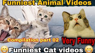 Funny Animal Videos 2022 😂 - Funniest Cats And Dogs Videos 😺😍 #02