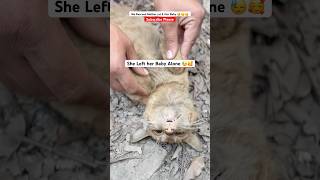 Heartbreaking Rescue of Mother Cat 🥺😘 #shorts #cat #animals