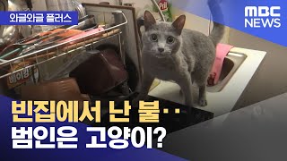 [와글와글 플러스] 빈집에서 난 불‥범인은 고양이? (2025.01.07/뉴스투데이/MBC)