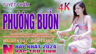 Phượng Buồn, Một Lần Dang Dở, Thành Phố Buồn🛑 Nhạc Trữ Tình Hay Nhất 2024 - Lk Bolero Nhạc Vàng Xưa