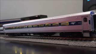 Review: Rapido Amtrak Horizon Coach and Dinette Cars!