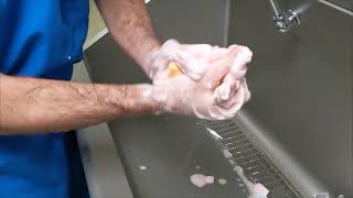 Surgeon Sterile Scrub - Basics of Veterinary Surgery