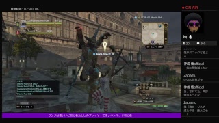 意味が解らないままレベルが…［DDON］#221  挑戦…ｱｾｱｾ