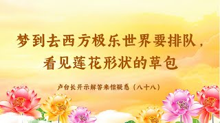 【梦到去西方极乐世界要排队，看见莲花形状的草包】卢台长开示解答来信疑惑（八十八）| 观世音菩萨心灵法门