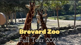 Brevard Zoo Full Tour 2025