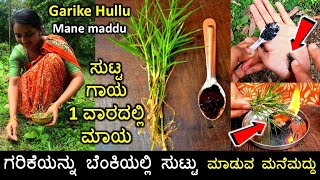 ಗಣಪತಿಗೆ ಪ್ರಿಯವಾದ ಗರಿಕೆಯಿಂದ ಸುಟ್ಟಗಾಯಕ್ಕೆ ಅದ್ಭುತ ಮನೆಮದ್ದು | Garike | Burns home remedy | Bermuda grass