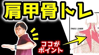 【姿勢矯正ストレッチ】美しい姿勢を作るための肩甲骨トレーニング【京都 姿勢矯正系YouTuber大山裕也】