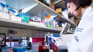 Meet Alexandra Taraboletti, PhD | Postdoc Appreciation Week 2019