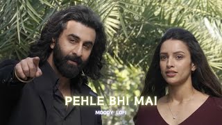 Pehle Bhi Mai-  [ Slowed + Reverb ] | Animal | Vishal Mishra