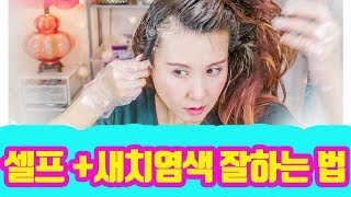 셀프염색/뿌리염색/새치염색 집에서 잘하는 법! 총정리/실전편