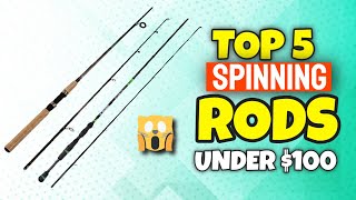 Best Spinning Rod Under 100 Dollars | Best Budget Fishing Rod 2022