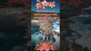 #కొంత మందికి అనుభవించితే కానీ అర్థం కాదు #trending short #quotes #emotional quotes #MS✍️