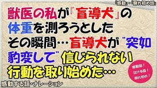 【感動する話】獣医の私が『盲導犬』の体重を測ろうとしたその瞬間･･･盲導犬が“突如豹変し”信じられない行動を取り始めた…