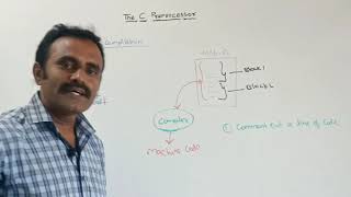 The C Preprocessor - Conditional Compilation