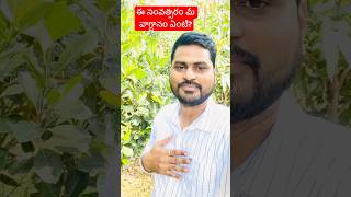 దేవుడు 2025 లో మీకు ఇచ్చిన వాగ్ధానం ఏంటి? #jesus #promise card #2025 #church #bibleverse #amen #yt