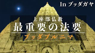 上座部（南伝）仏教の最も重要な法要「ブッダプルニマ」