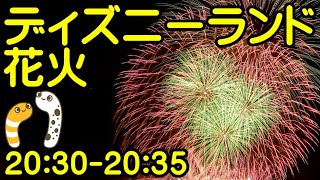 ディズニーランド花火20:30-20:35　みんなでドライブドライブ♫　花火のあとは、夜景ドライブ【ちんあなご＆女将さん】