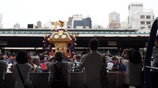 波除神社　つきじ獅子祭　宮神輿渡御　さよなら築地市場場内　2018.6.8