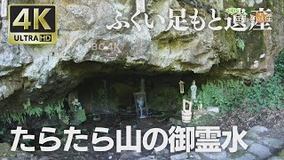 4K映像 ふくい足もと遺産「たらたら山の御霊水」