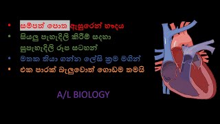 මානව හෟදය/AL Biology/1වන කොටස