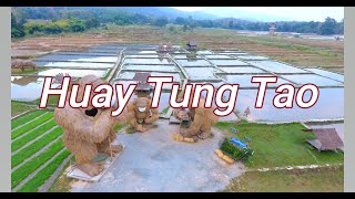 Huay Tung Tao Lake , Chiang Mai  from the air . The Covid 19 Masked Gorrillas 4k