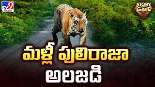 Story Gate : మళ్లీ పులిరాజా అలజడి | Nirmal - TV9