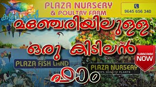 Plaza Farm Manjeri Malappuram |Farm Visit|[Malayalam]