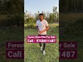 forest view plot for sale in dehradun call 9758811487 property plots plotsale realestate land