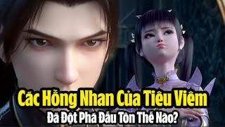 Trong Đấu Phá Thương Khung, các hồng nhan tri kỷ của Tiêu Viêm đã đột phá lên Đấu Tôn như thế nào?