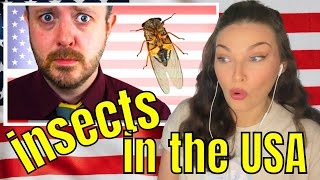 New Zealand Girl Reacts to Insects in the United States America 🦟