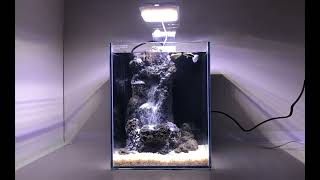 심즈배면 20하이큐브 폭포 영상 (Sim's 20 High Cube Waterfall Aquarium)