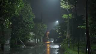 비 내리는 밤 길가에 쏟아지는 폭우와 함께 불면증 해소, 즉시 수면 비오는 소리 ASMR