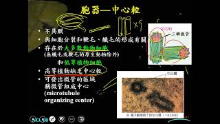 11001選修生物一ch1 2 16中心粒一恭