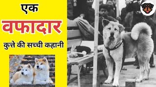 एक वफादार कुत्ते की सच्ची कहानी who spent 10 years waiting#dog #emotional #story@animal