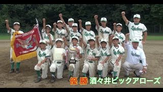 【少年野球】20170819夏季大会決勝ジュニアコスモスVS酒々井ビックアローズ