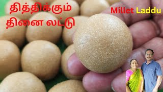 தித்திக்கும் தினை லட்டு/ Thinai Laddu Recipe in tamil / millet ladoo/ Recipe in Tamil/ healthy food