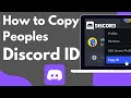 How to copy people Discord ID  2023 | copy someone discord user id 2023