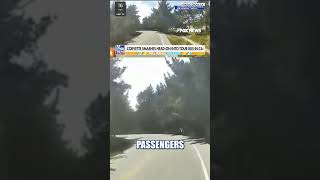 SEE IT: Corvette SLAMS into tour bus head-on in California #foxnews #news #crash #california