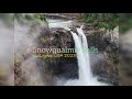 A visit to Snoqualmie Falls Washington USA 🇺🇸 2023