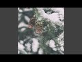 Italian Winter