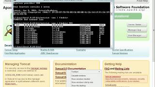 Tomcat SSL configuration howto