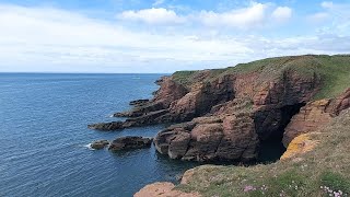 Arbroath Cliffs and Seaton Cliffs Nature Reserve - Arbroath, Scotland - May 2022 - 4K