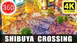 [4K 360°] The Real Shibuya Crossing, Tokyo || JAPAN 360